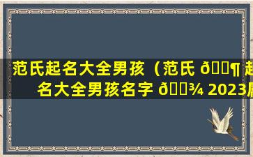 范氏起名大全男孩（范氏 🐶 起名大全男孩名字 🌾 2023属兔）